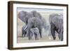 African Bush Elephant Herd, Amboseli National Park, Kenya-Martin Zwick-Framed Photographic Print