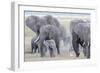 African Bush Elephant Herd, Amboseli National Park, Kenya-Martin Zwick-Framed Photographic Print