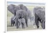 African Bush Elephant Herd, Amboseli National Park, Kenya-Martin Zwick-Framed Photographic Print