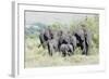 African Bush Elephant Herd, Maasai Mara, Kenya-Martin Zwick-Framed Photographic Print