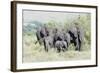 African Bush Elephant Herd, Maasai Mara, Kenya-Martin Zwick-Framed Photographic Print