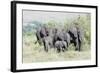 African Bush Elephant Herd, Maasai Mara, Kenya-Martin Zwick-Framed Photographic Print