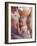 African Child Being Carried by Her Mother-Howard Sochurek-Framed Photographic Print