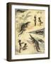 African Children Playing with Crocodiles-Richard Andre-Framed Giclee Print