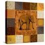 African Collage II-Patricia Pinto-Stretched Canvas
