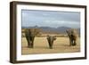 African Desert Elephant-null-Framed Photographic Print