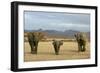 African Desert Elephant-null-Framed Photographic Print