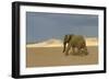 African Desert Elephant-null-Framed Photographic Print