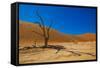 African Desert-DR_Flash-Framed Stretched Canvas