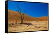 African Desert-DR_Flash-Framed Stretched Canvas