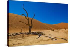 African Desert-DR_Flash-Stretched Canvas