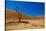 African Desert-DR_Flash-Stretched Canvas