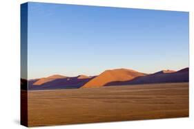 African Desert-DR_Flash-Stretched Canvas