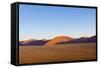 African Desert-DR_Flash-Framed Stretched Canvas