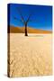 African Desert-DR_Flash-Stretched Canvas