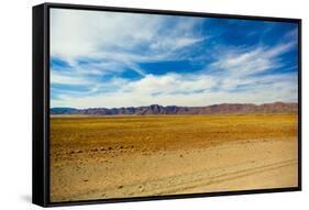 African Desert-DR_Flash-Framed Stretched Canvas