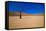 African Desert-DR_Flash-Framed Stretched Canvas