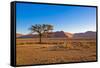 African Desert-DR_Flash-Framed Stretched Canvas