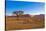 African Desert-DR_Flash-Stretched Canvas