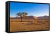 African Desert-DR_Flash-Framed Stretched Canvas