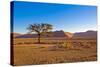 African Desert-DR_Flash-Stretched Canvas