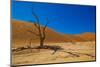 African Desert-DR_Flash-Mounted Photographic Print