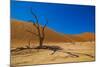 African Desert-DR_Flash-Mounted Photographic Print