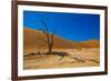 African Desert-DR_Flash-Framed Photographic Print