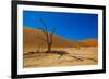 African Desert-DR_Flash-Framed Photographic Print