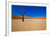 African Desert-DR_Flash-Framed Photographic Print