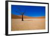 African Desert-DR_Flash-Framed Photographic Print