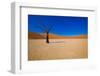 African Desert-DR_Flash-Framed Photographic Print