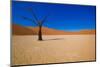 African Desert-DR_Flash-Mounted Photographic Print