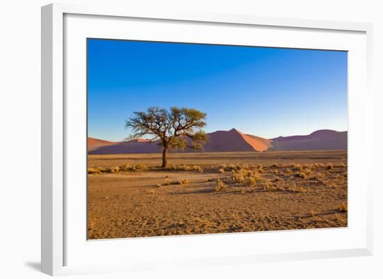 African Desert-DR_Flash-Framed Photographic Print