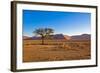 African Desert-DR_Flash-Framed Photographic Print