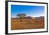 African Desert-DR_Flash-Framed Photographic Print