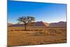 African Desert-DR_Flash-Mounted Photographic Print