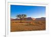 African Desert-DR_Flash-Framed Photographic Print