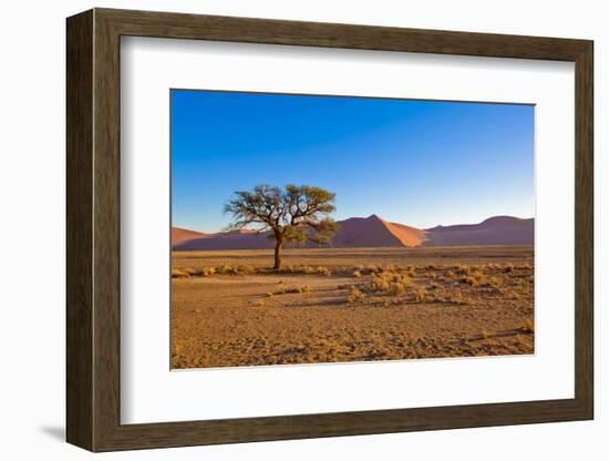 African Desert-DR_Flash-Framed Photographic Print