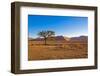 African Desert-DR_Flash-Framed Photographic Print