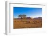 African Desert-DR_Flash-Framed Photographic Print