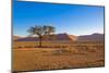 African Desert-DR_Flash-Mounted Photographic Print