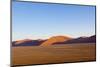 African Desert-DR_Flash-Mounted Photographic Print