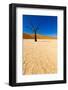 African Desert-DR_Flash-Framed Photographic Print