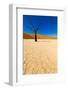 African Desert-DR_Flash-Framed Photographic Print