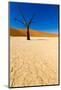 African Desert-DR_Flash-Mounted Photographic Print