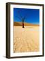 African Desert-DR_Flash-Framed Photographic Print