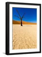 African Desert-DR_Flash-Framed Photographic Print