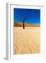 African Desert-DR_Flash-Framed Photographic Print