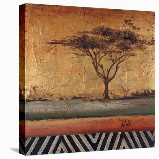 African Dream II-Patricia Pinto-Stretched Canvas